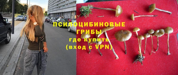 бошки Волоколамск